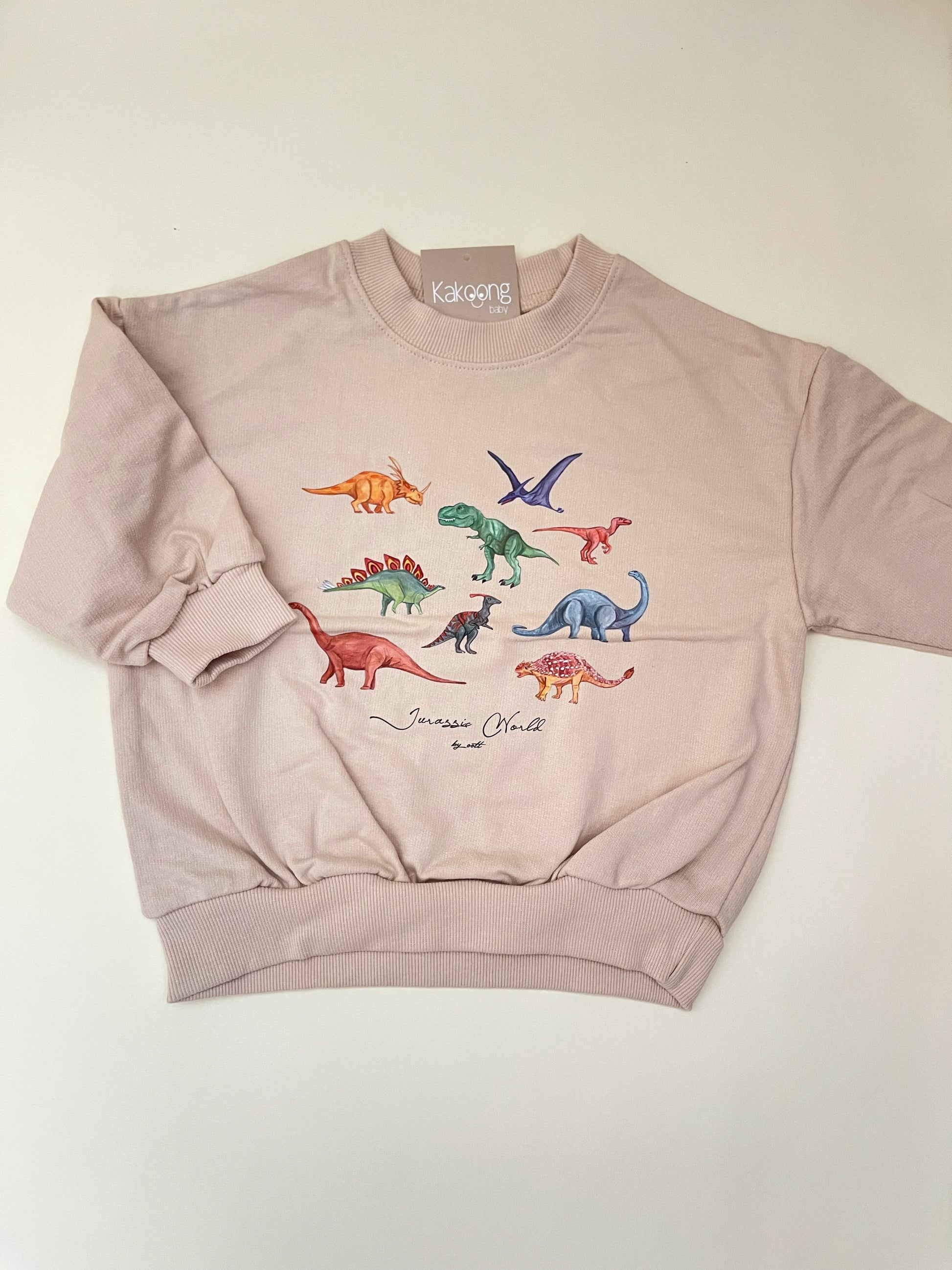 kakoongbaby Sweatshirt Dinosaur –